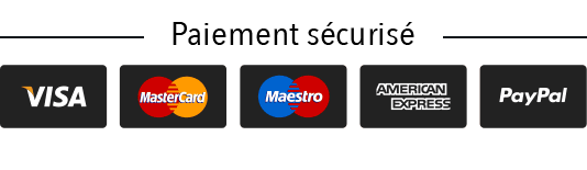 Logos de paiement (Visa, Mastercard, PayPal, etc.)
