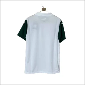 Palmeiras - Maillot extérieur 2025