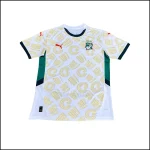 Cote D'Ivoire - Maillot extérieur 24/25