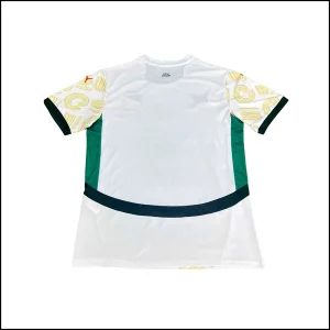 Cote D'Ivoire - Maillot extérieur 24/25