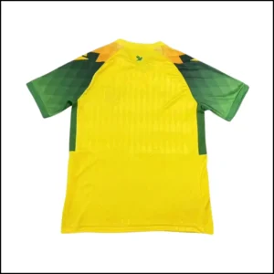Nantes - Maillot domicile 26/27